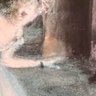 Profilbild von abhale