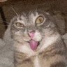 k's profile picture