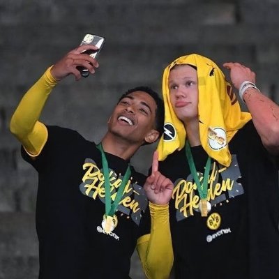 goldendaysnext's profile picture