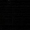 15551's profile picture