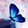 Profilbild von 🥥🦋 بالميرا