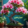 Profilbild von الطيب
