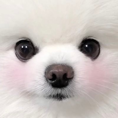 mei's profile picture
