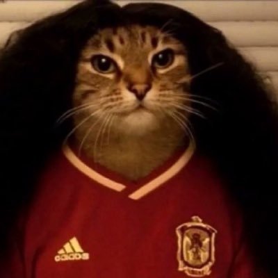 jvplaza's profile picture