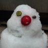Profilbild von Fraud Usurper