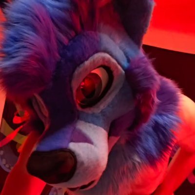 🔞Cisco Fox➡️ASC🦊's profile picture