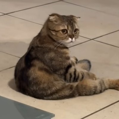 سلطان العارفين's profile picture