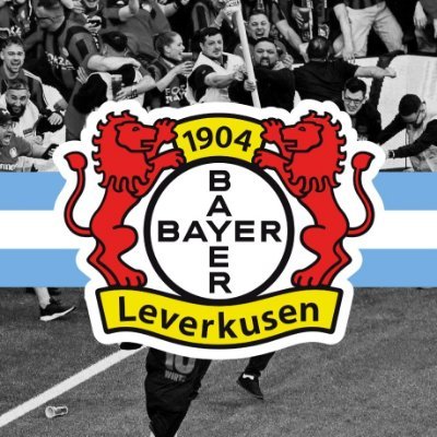 𝐁𝐚𝐫𝐠𝐲𝐞𝐫_𝟎𝟒 🇦🇷's profile picture