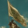 Фото профиля علي بن محمد