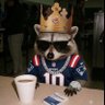 Profilbild von Top Coon 🦝