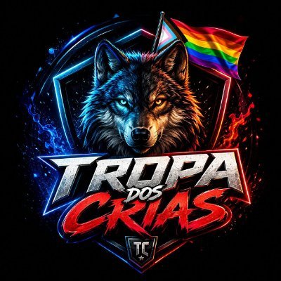 FESTA TROPA DOS CRIAS's profile picture