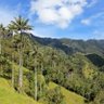 Фото профиля Palau
