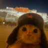 asetilkolin ☭'s profile picture