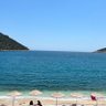 nar ağacı profil fotoğrafı