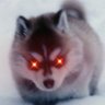 mydogisahusky 的头像
