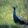 Фото профиля Vinesh chakraworthy
