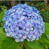 Фото профиля Elileite32