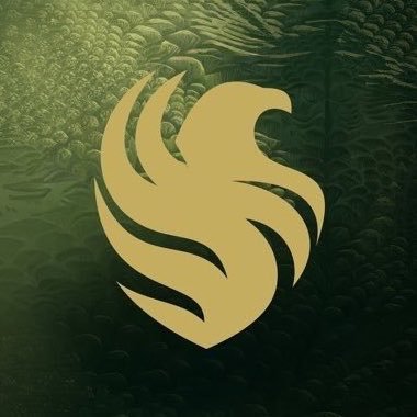 TeamFalconsGG's profile picture