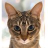 Miii profil fotoğrafı