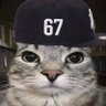 Rachel li's profile picture