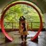 ゆきちゃん's profile picture