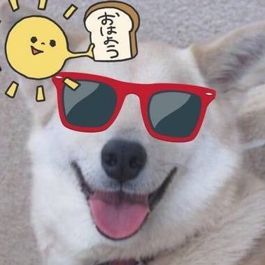 tumetainabe888's profile picture