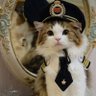 👩🏽✈️✈️ 𝒞𝒽𝒶𝒾𝓂𝒶ℯ ℬ. 🐈🇲🇦 profil fotoğrafı