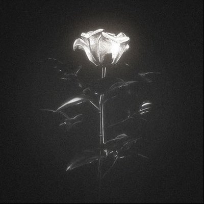 Mr_Vaxl's profile picture