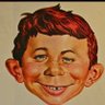 Wolfgang Scheckel's profile picture