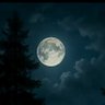 aaaoss91's profile picture