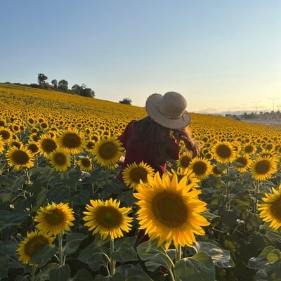 yokartikardes's profile picture