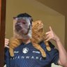 stressado's profile picture