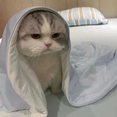 zyh975's profile picture
