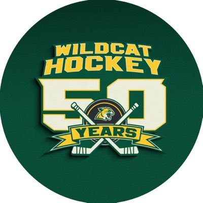 Northern Michigan Hockey's profile picture
