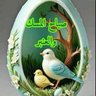 ناصر عبدالعزيز profil fotoğrafı