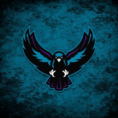 RocKnighthawks's profile picture