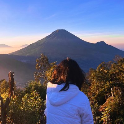 Fania's profile picture