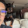 rocky's profile picture