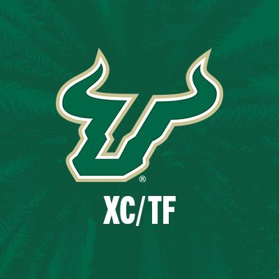 USFXCTF's profile picture