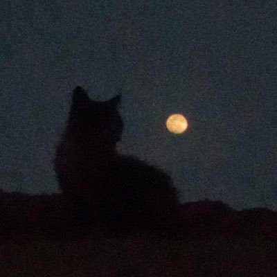 ARJSSBJT2's profile picture