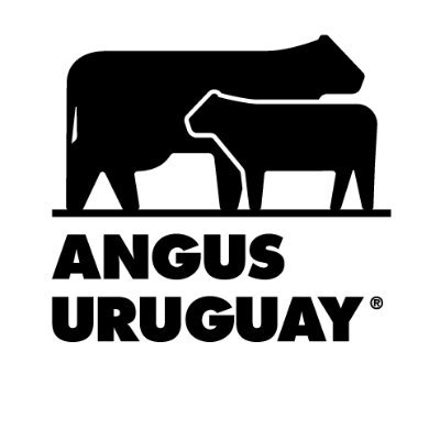 AngusUruguay's profile picture