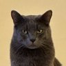 Coby's profile picture