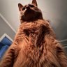 vantA profil fotoğrafı