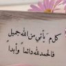 آبو جبريل الشيبه🇾🇪's profile picture