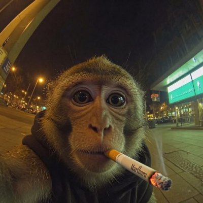 _thoughts_irl's profile picture