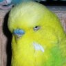 Profilbild von Brian S