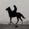 Ace๐ธ๐ด's profile picture