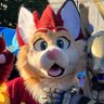 Zyly the Fox! ๐งก๐'s profile picture