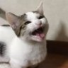 Profilbild von みずどん2