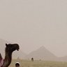 Фото профиля بارود